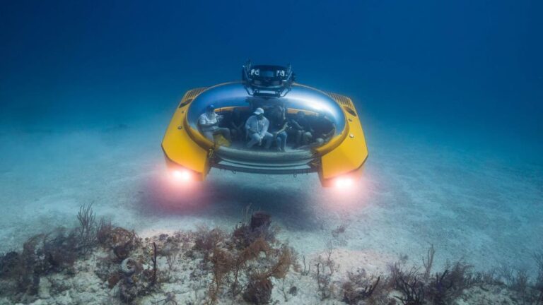 1 A luxurious bubble submarine is set to take passengers into the depths of the sea