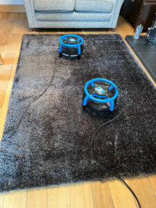 Wink’s Carpet & Upholstery Cleaning: Your Trusted Local Cleaning Experts