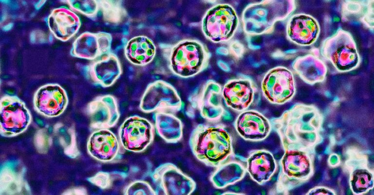 measles sci 930111236